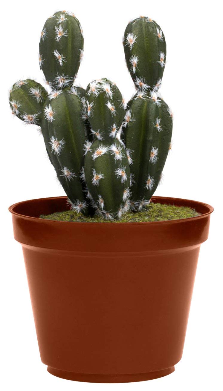 Plastic Cactus Plant Home Concealment Diversion Safe Stash Safe - Concealment Cans